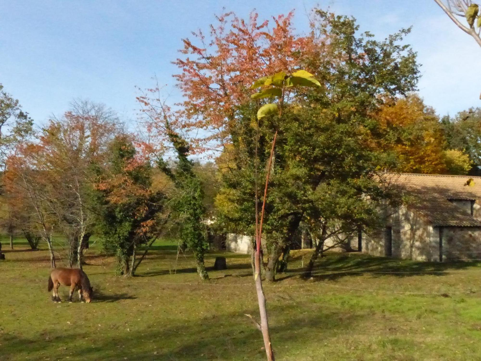 Terres De France - Le Domaine Des Vans Chambonas Экстерьер фото