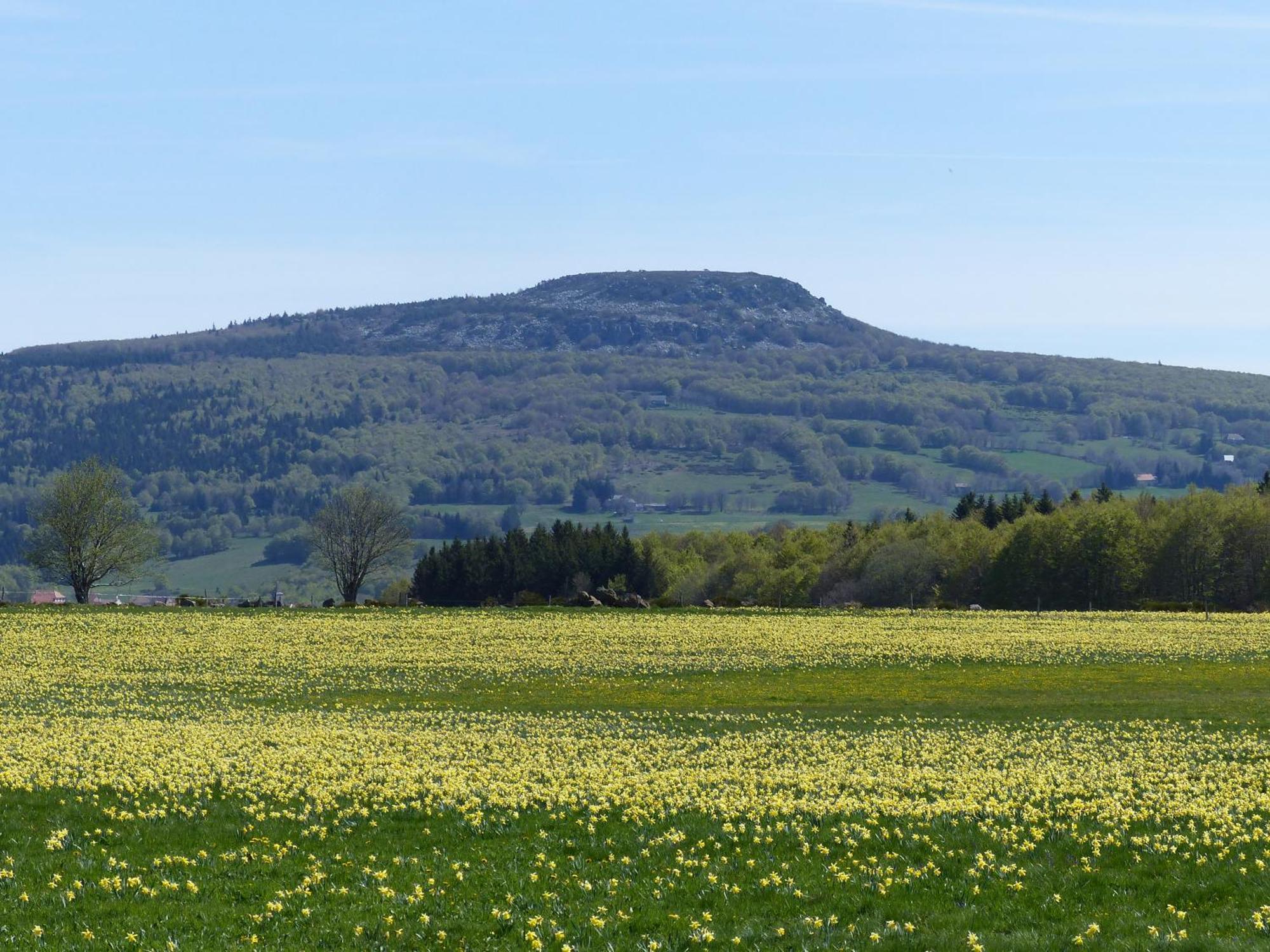 Terres De France - Le Domaine Des Vans Chambonas Экстерьер фото